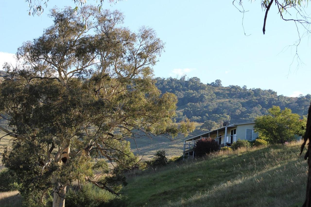 Elm Cottage Tumut Exterior photo