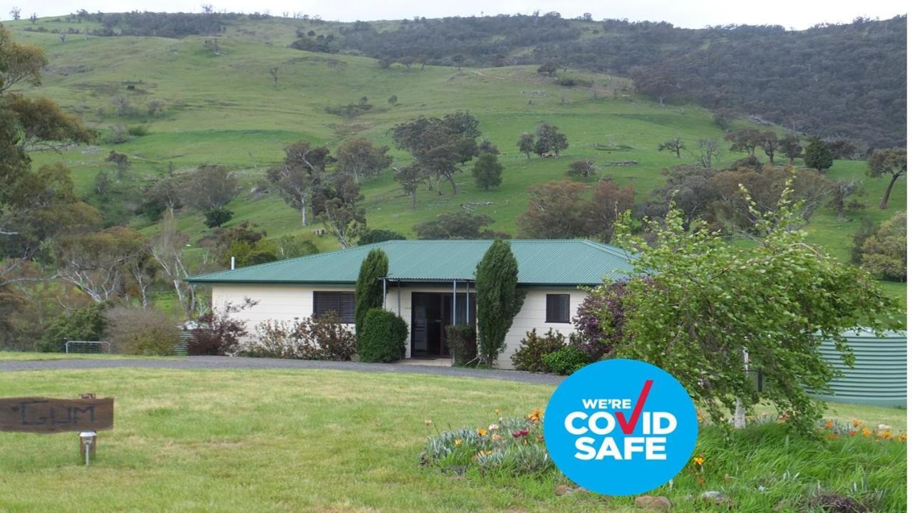 Elm Cottage Tumut Exterior photo