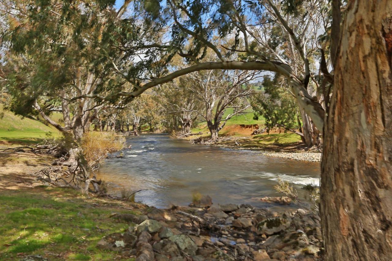 Elm Cottage Tumut Exterior photo