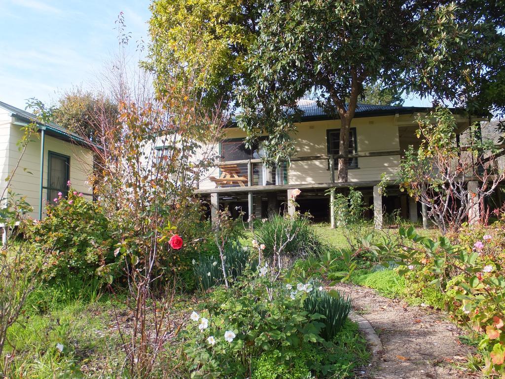 Elm Cottage Tumut Exterior photo