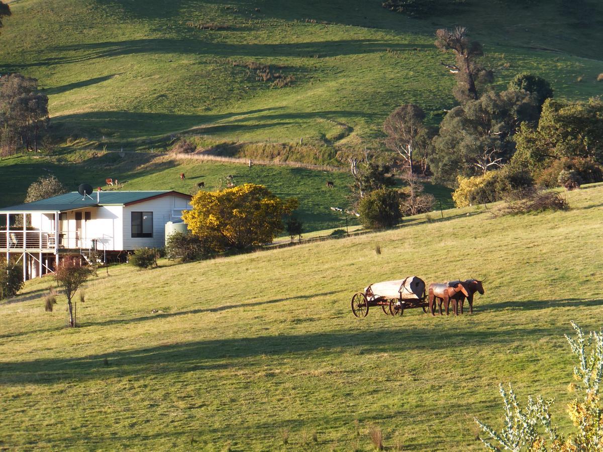 Elm Cottage Tumut Exterior photo