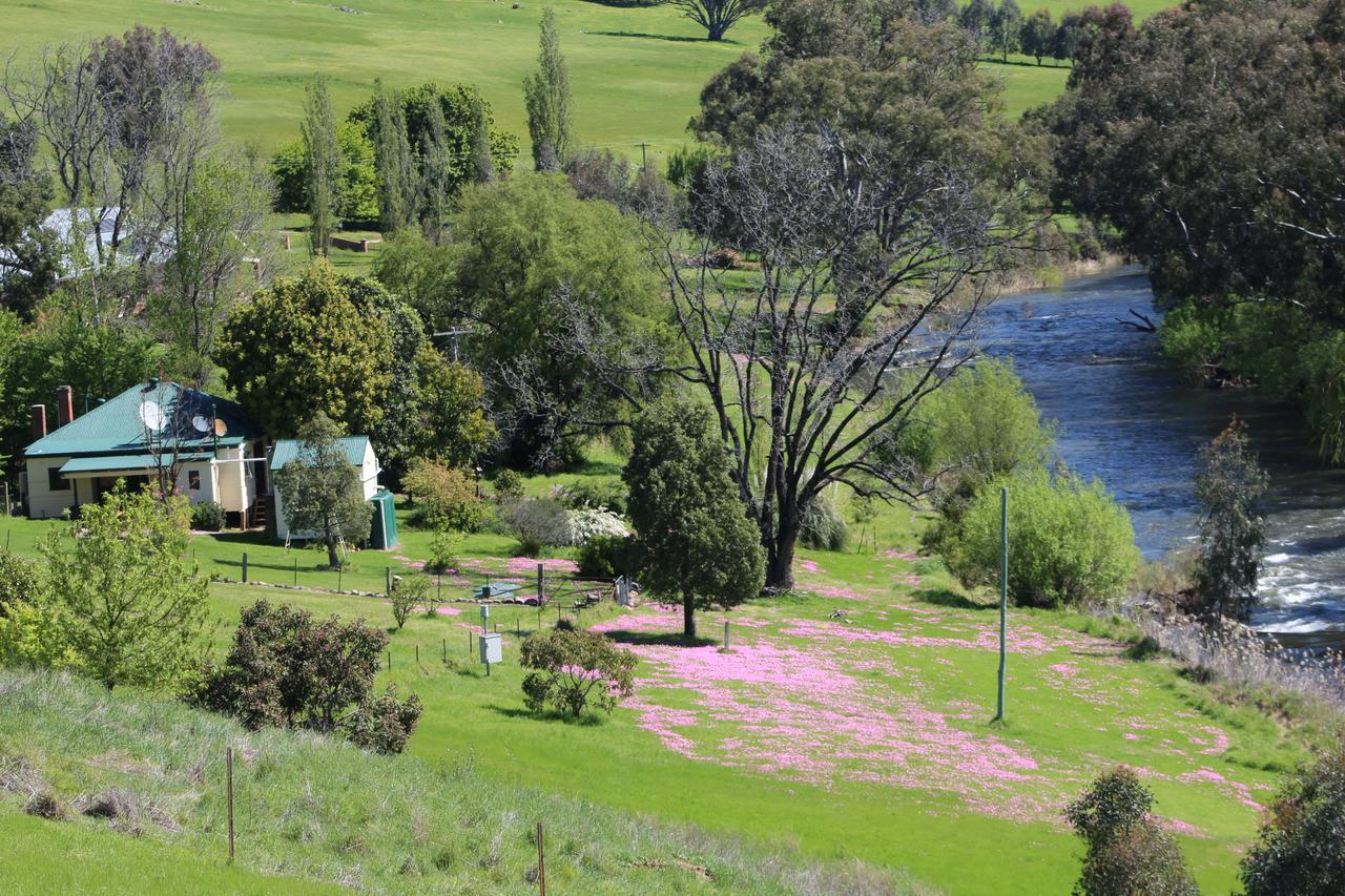 Elm Cottage Tumut Exterior photo